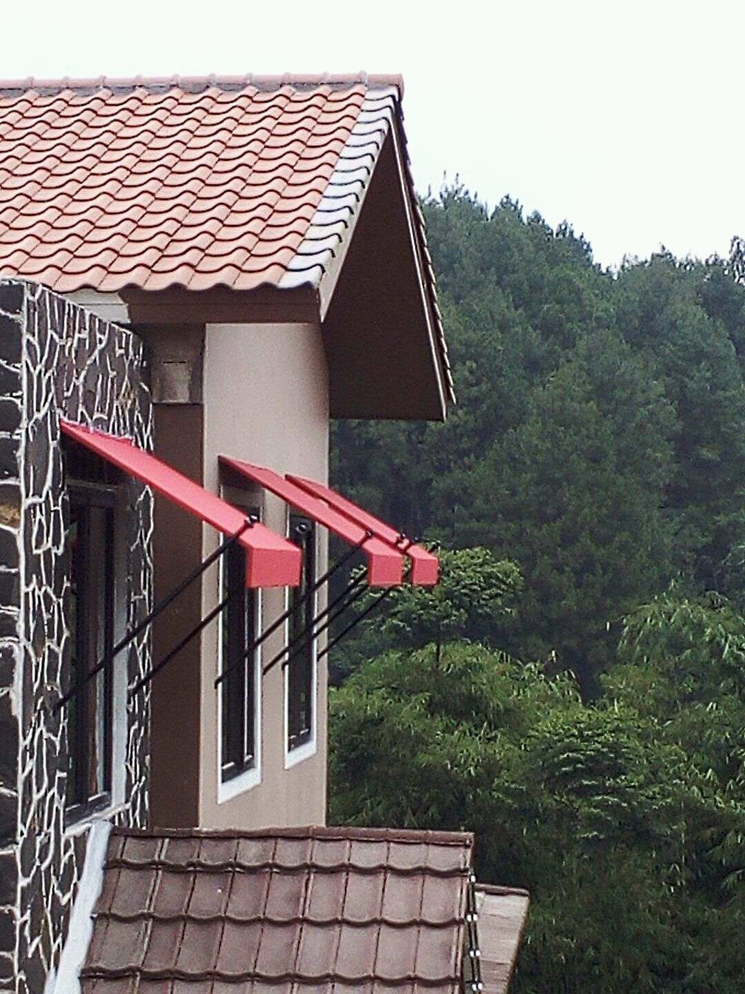 kanopikain5