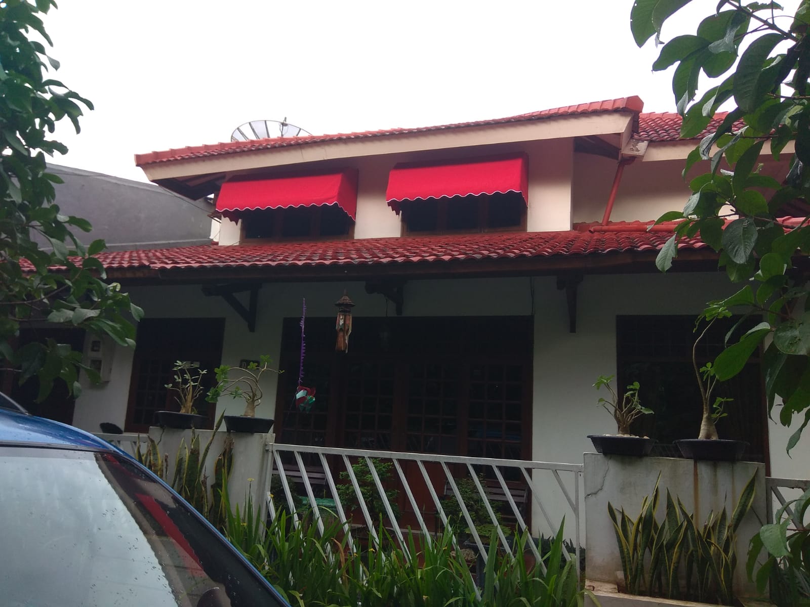 kanopikain13